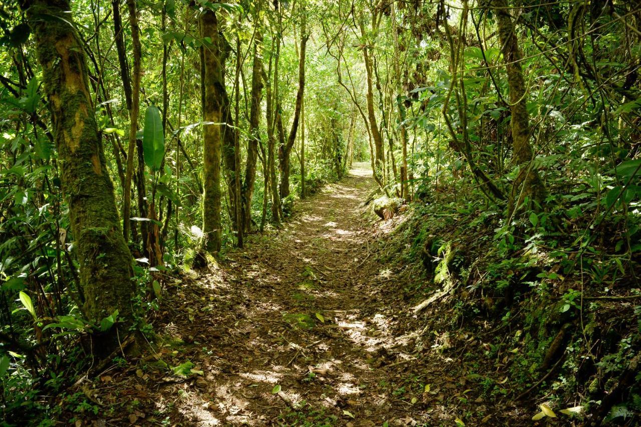 Talamanca Nature Reserve Hotel Rivas Bagian luar foto