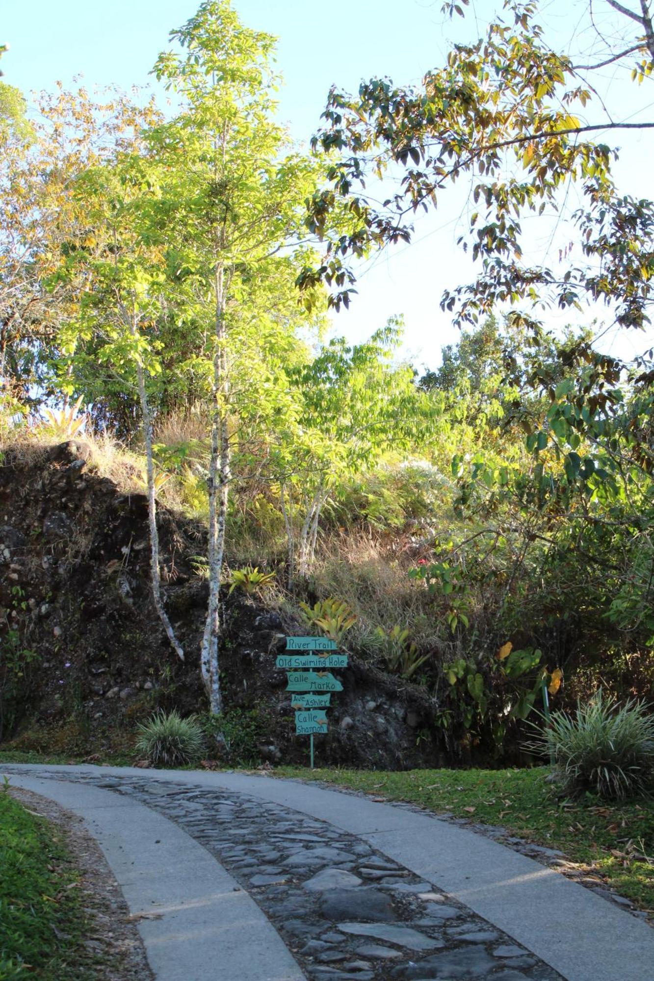 Talamanca Nature Reserve Hotel Rivas Bagian luar foto