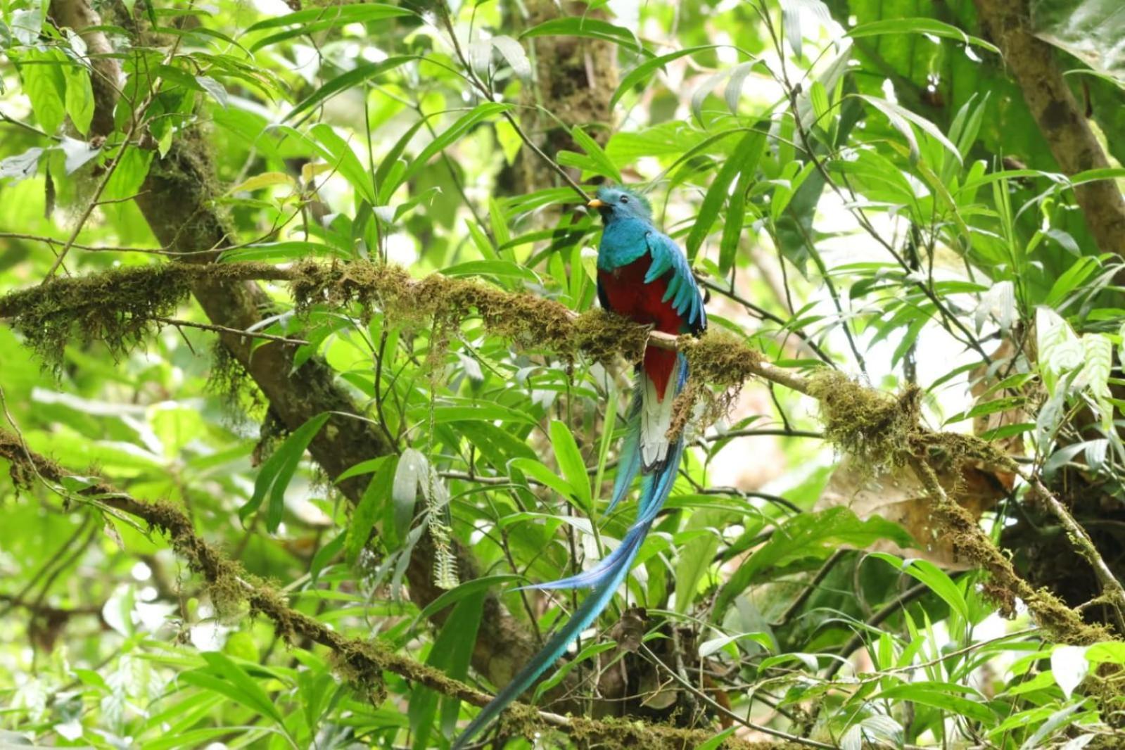 Talamanca Nature Reserve Rivas Bagian luar foto