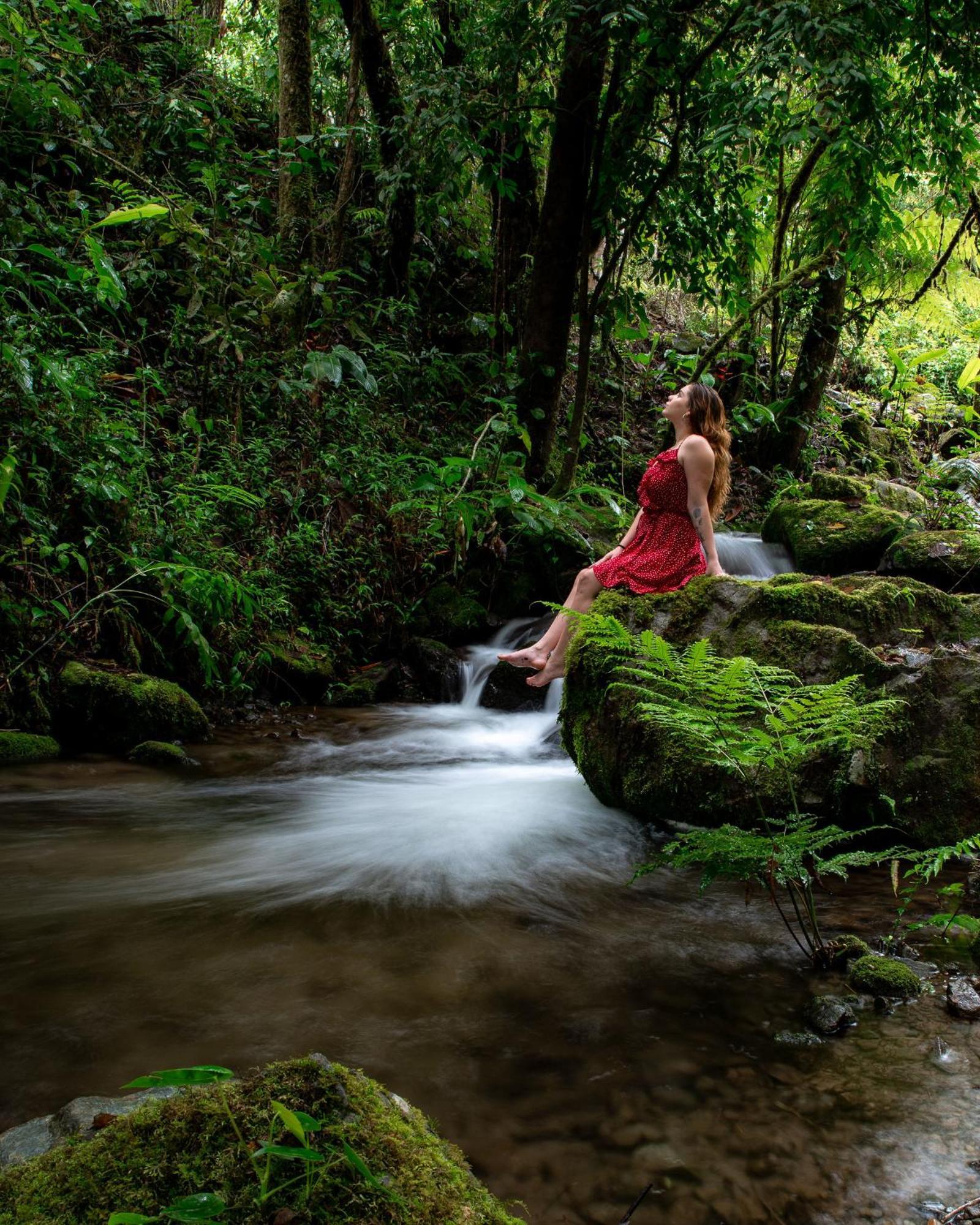 Talamanca Nature Reserve Hotel Rivas Bagian luar foto