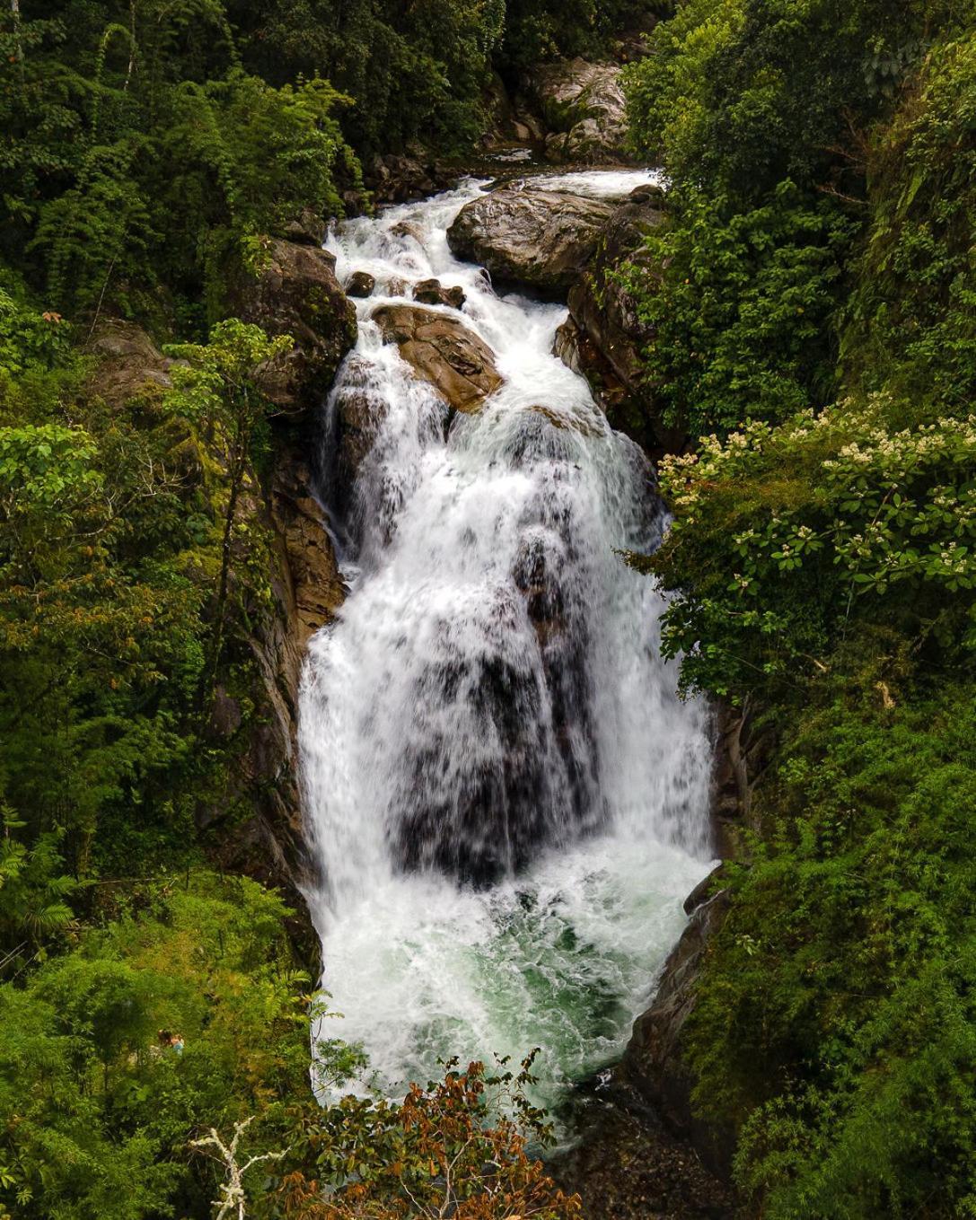 Talamanca Nature Reserve Hotel Rivas Bagian luar foto