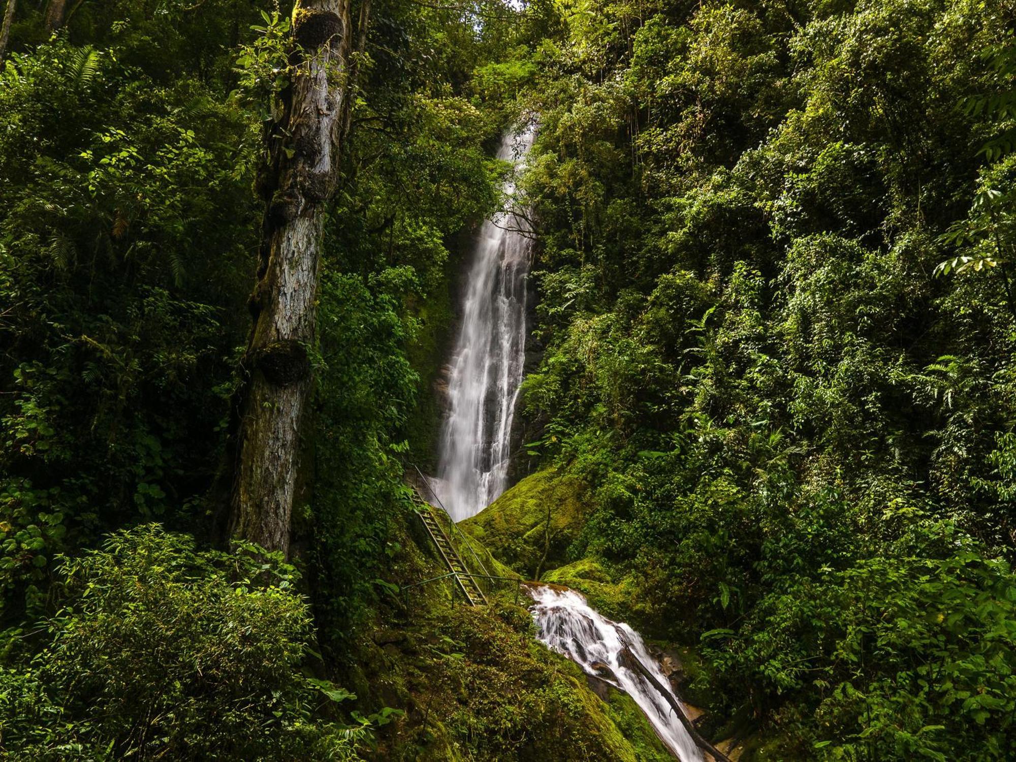 Talamanca Nature Reserve Hotel Rivas Bagian luar foto