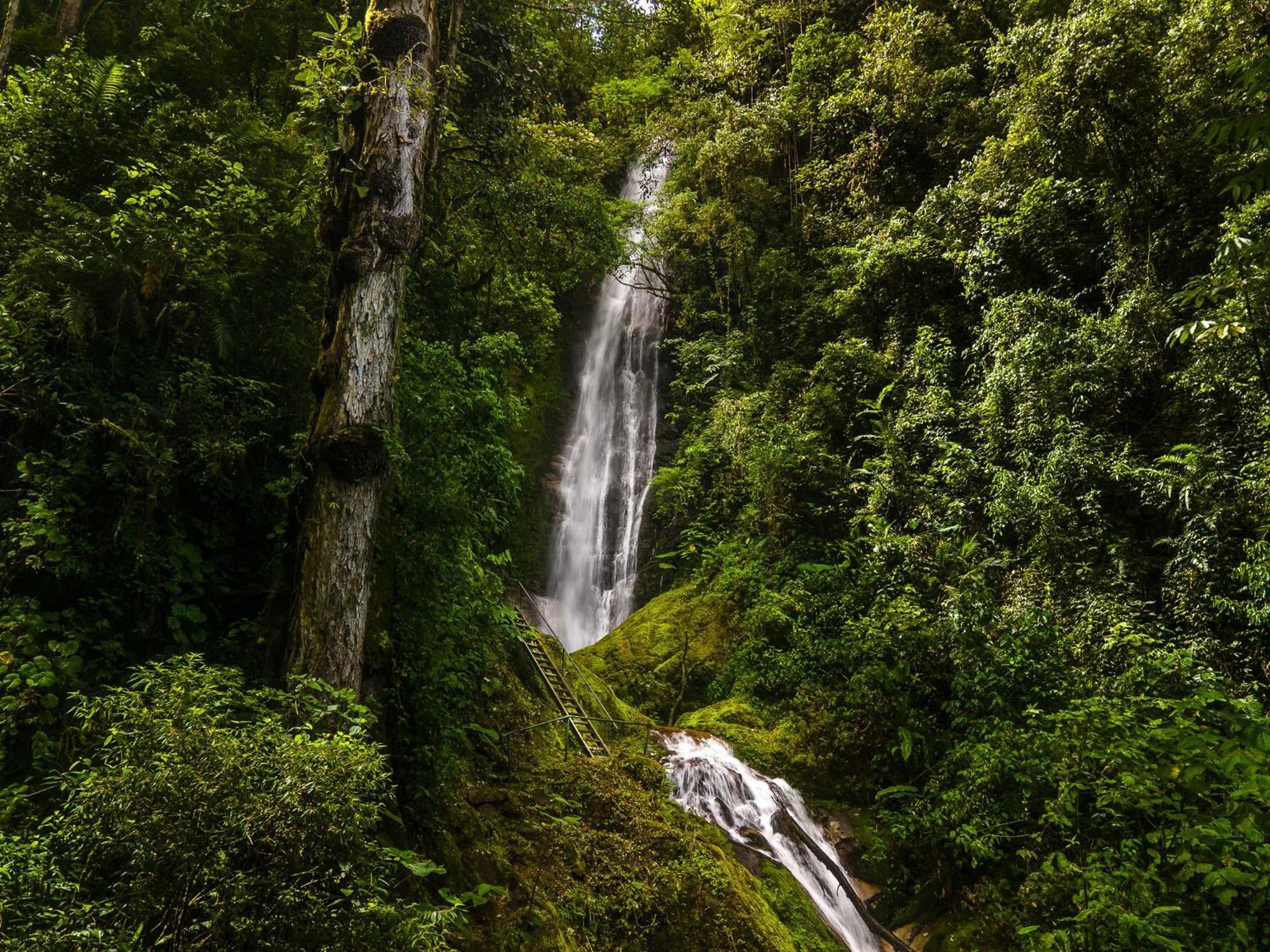 Talamanca Nature Reserve Rivas Bagian luar foto