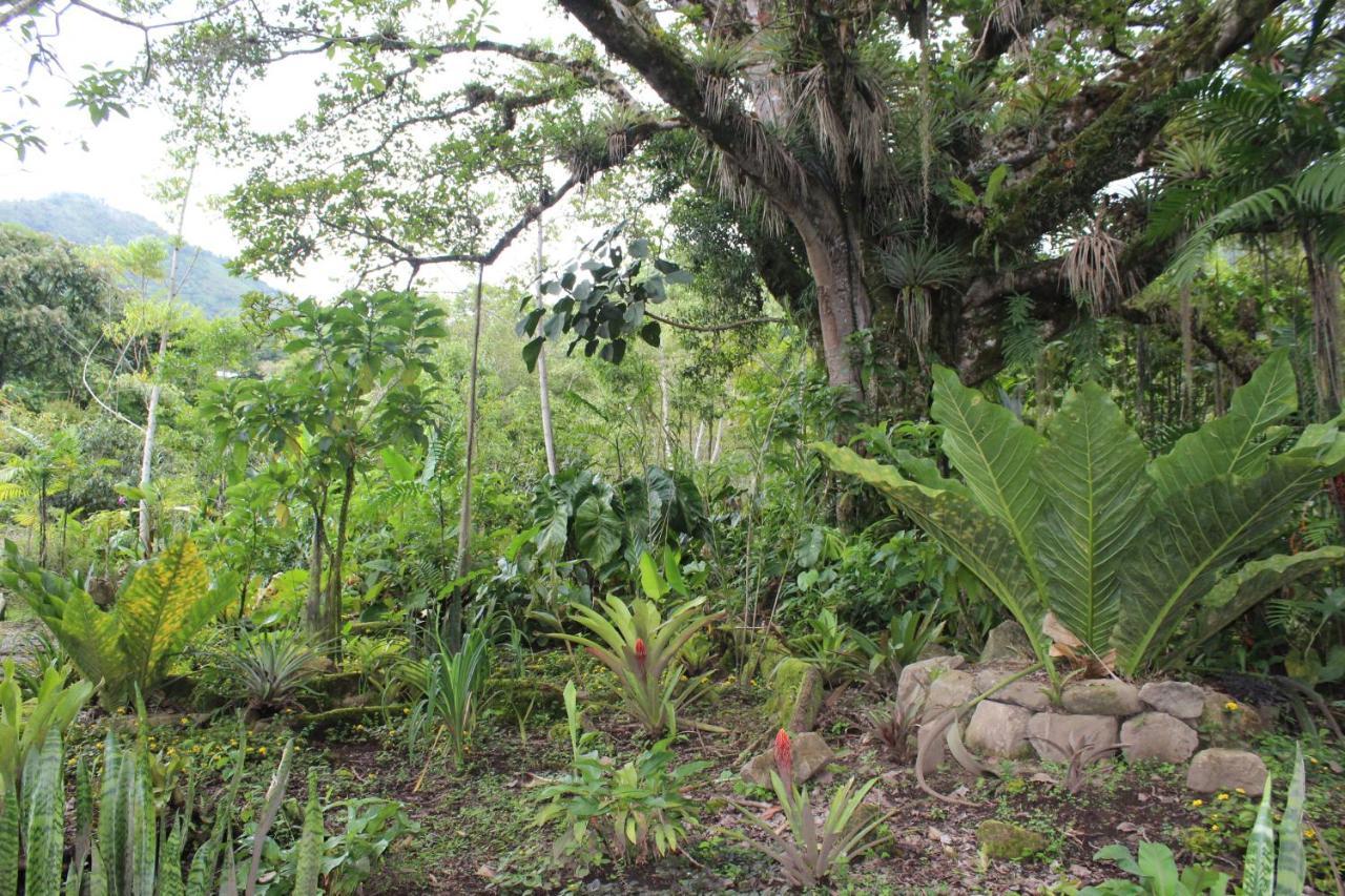 Talamanca Nature Reserve Hotel Rivas Bagian luar foto