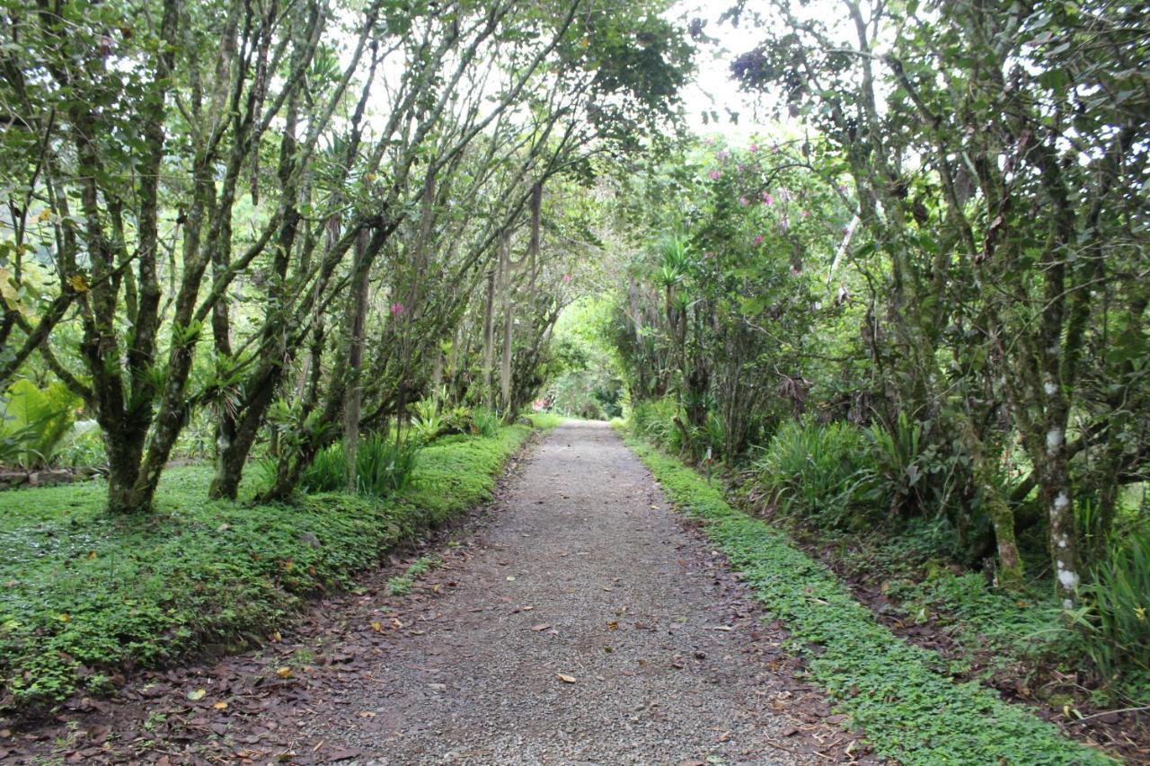 Talamanca Nature Reserve Hotel Rivas Bagian luar foto